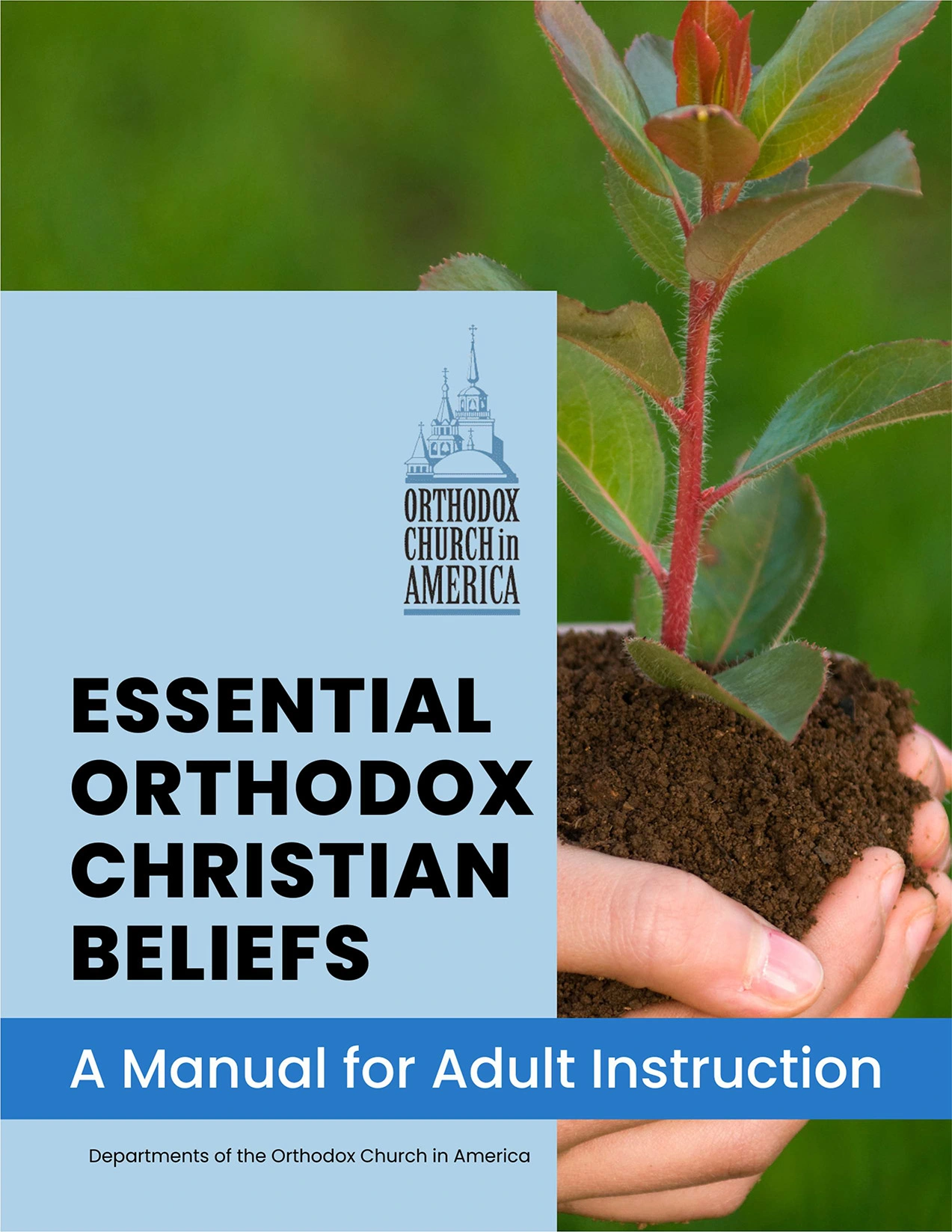 Essential Orthodox Christian Beliefs cover image